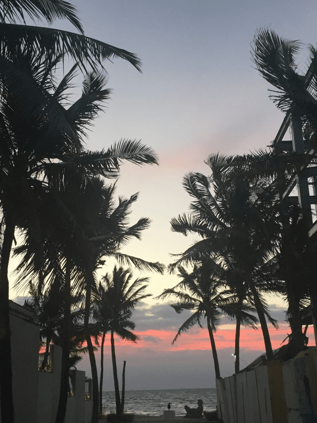 sunrise