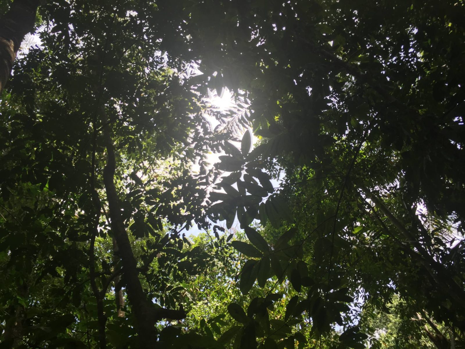 Manuel Antonio, Costa Rica | Travel Guide image