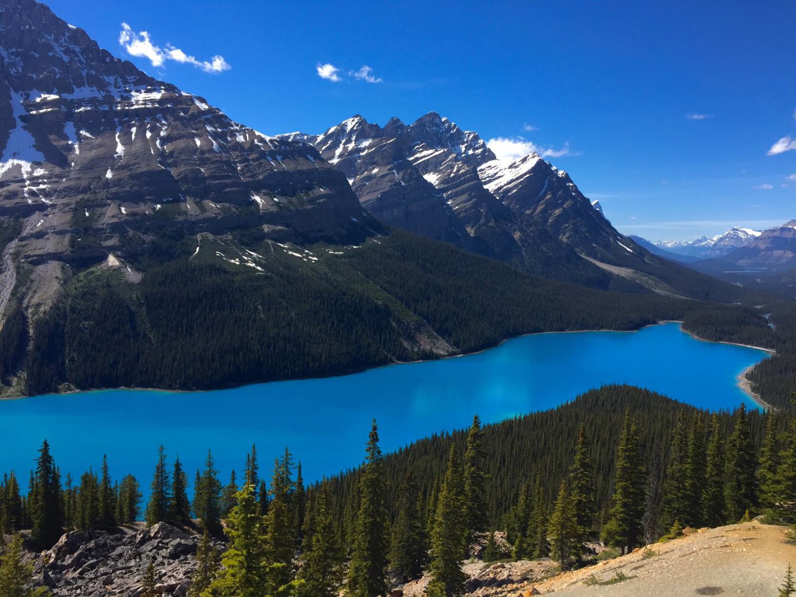 IMG_9635