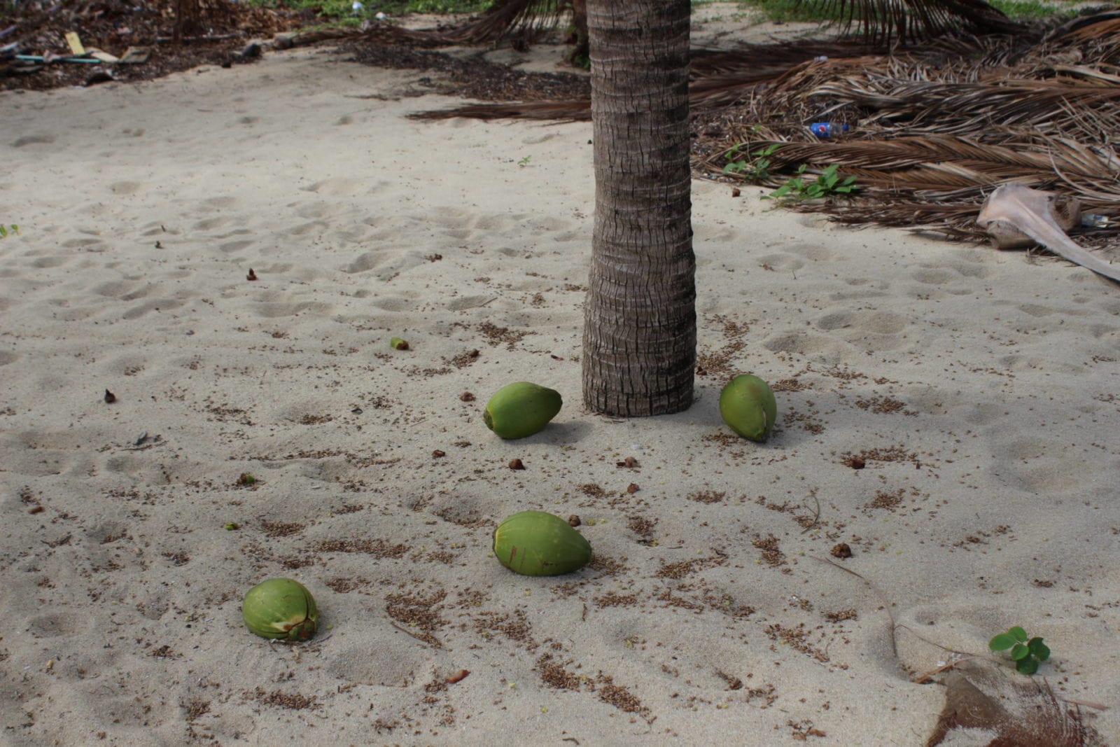 Placencia, Belize | Travel Guide