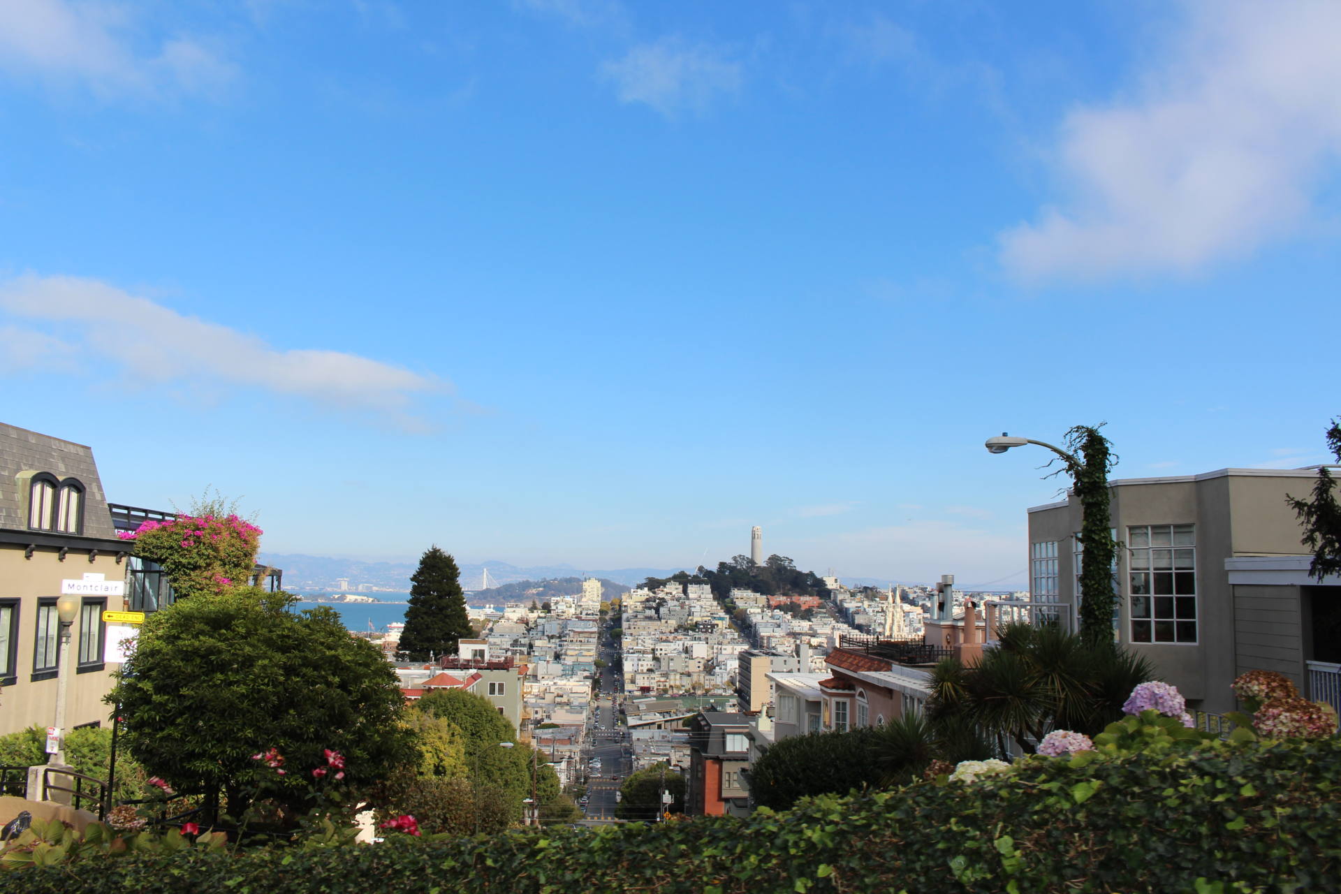 San Francisco | Travel Guide