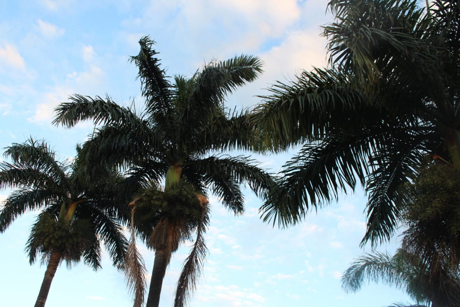Montego Bay, Jamaica | Travel Guide