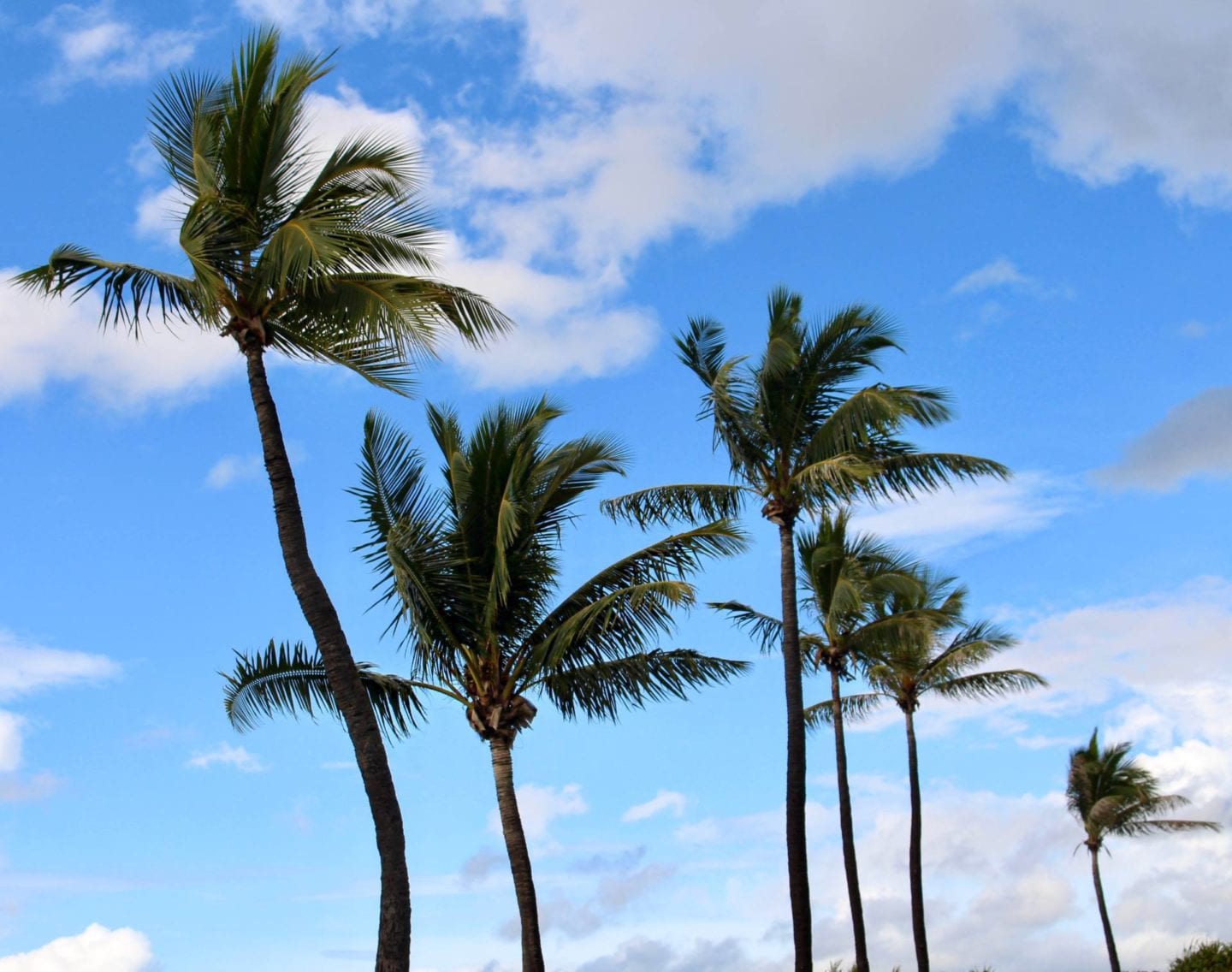 Oahu, Hawaii | Travel Guide