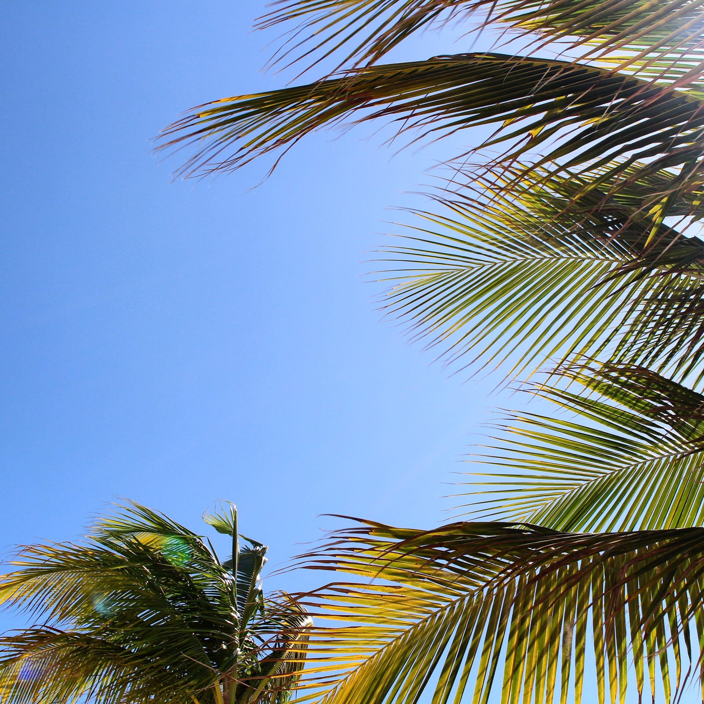 Isla Mujeres, Cancun | The B Werd