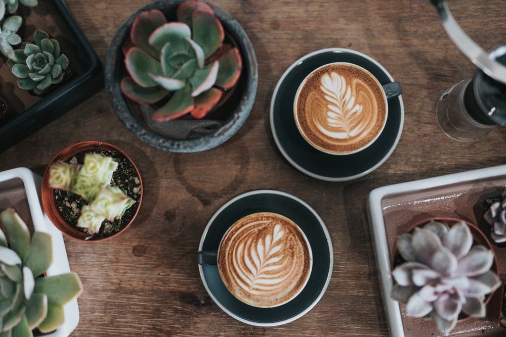 Coffee and succulents on table