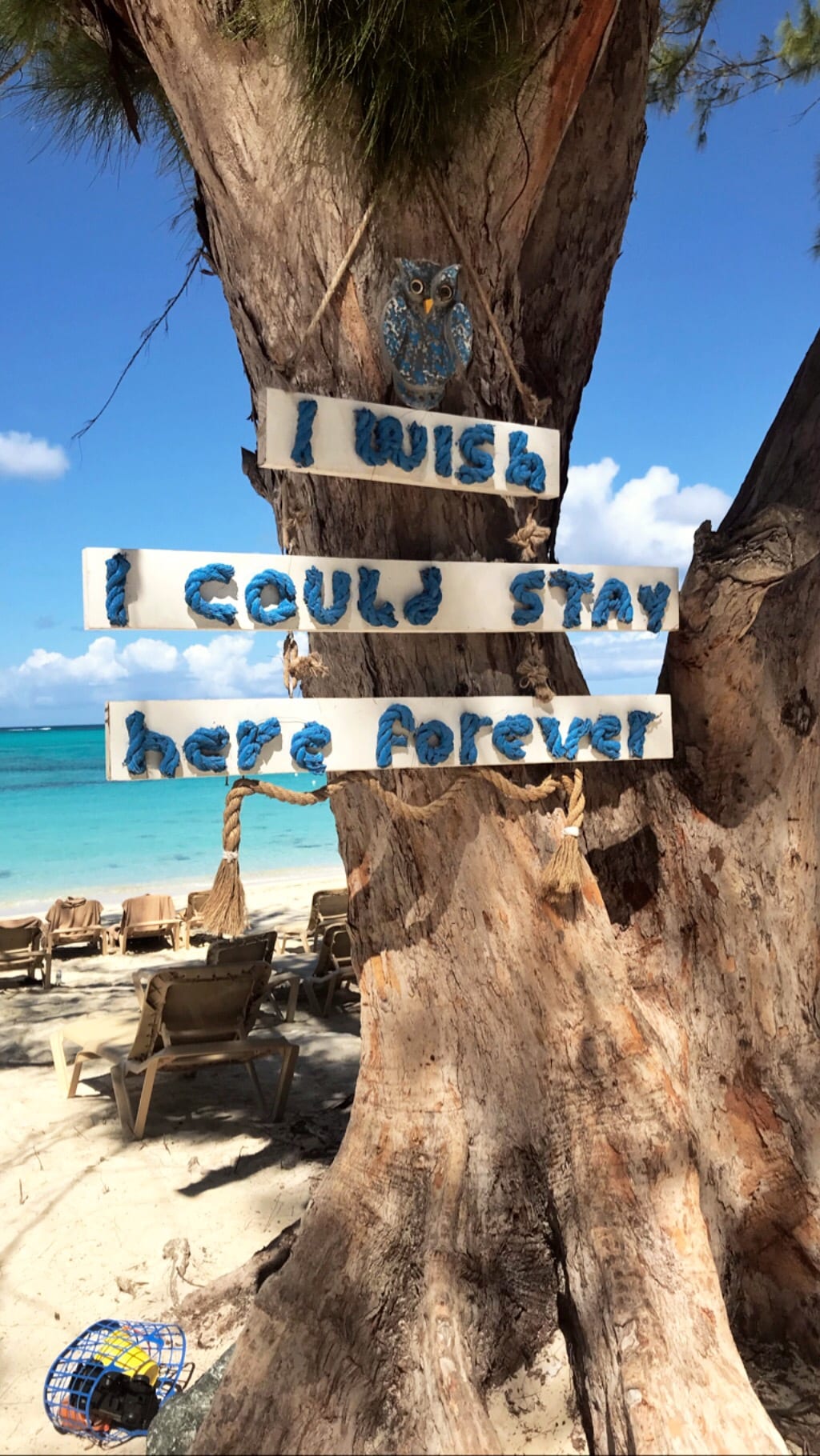 Turks and Caicos Island | Travel Guide
