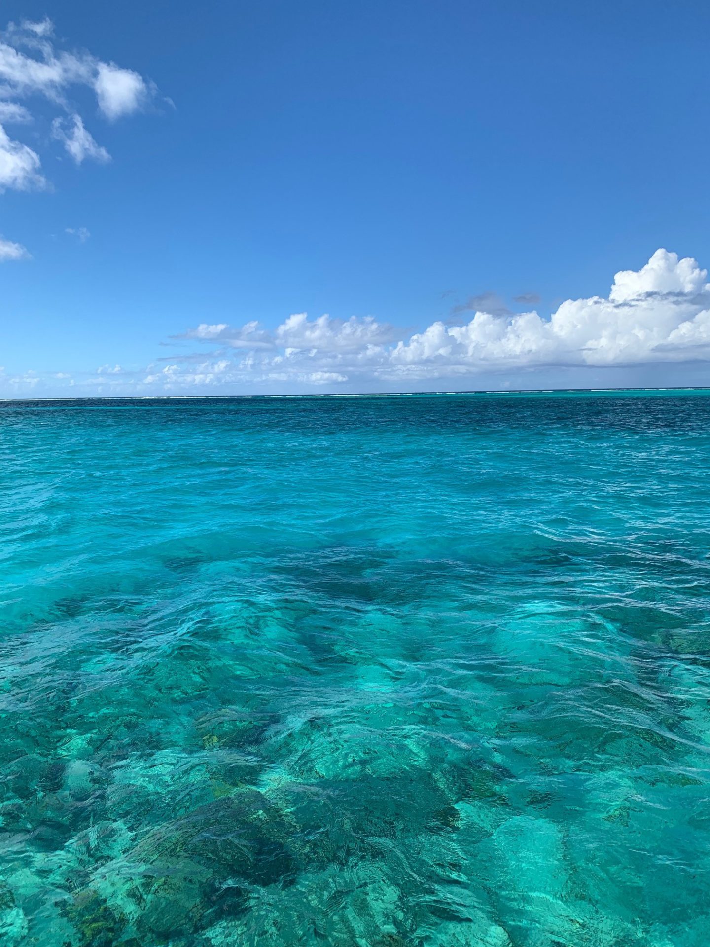 Turks and Caicos Island | Travel Guide