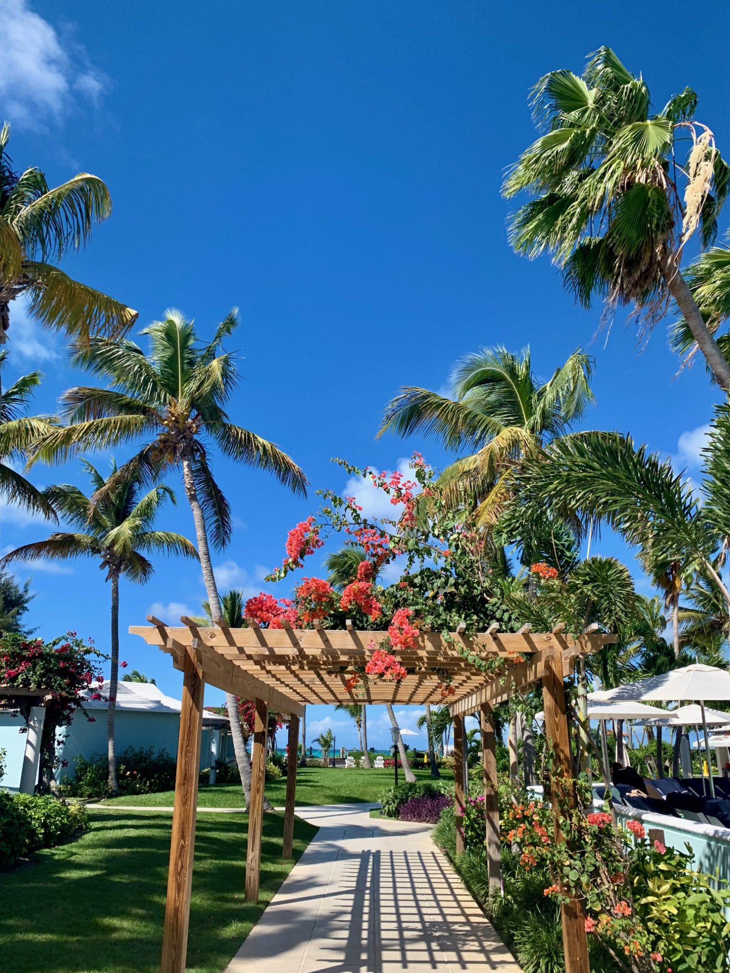 Turks and Caicos Island | Travel Guide