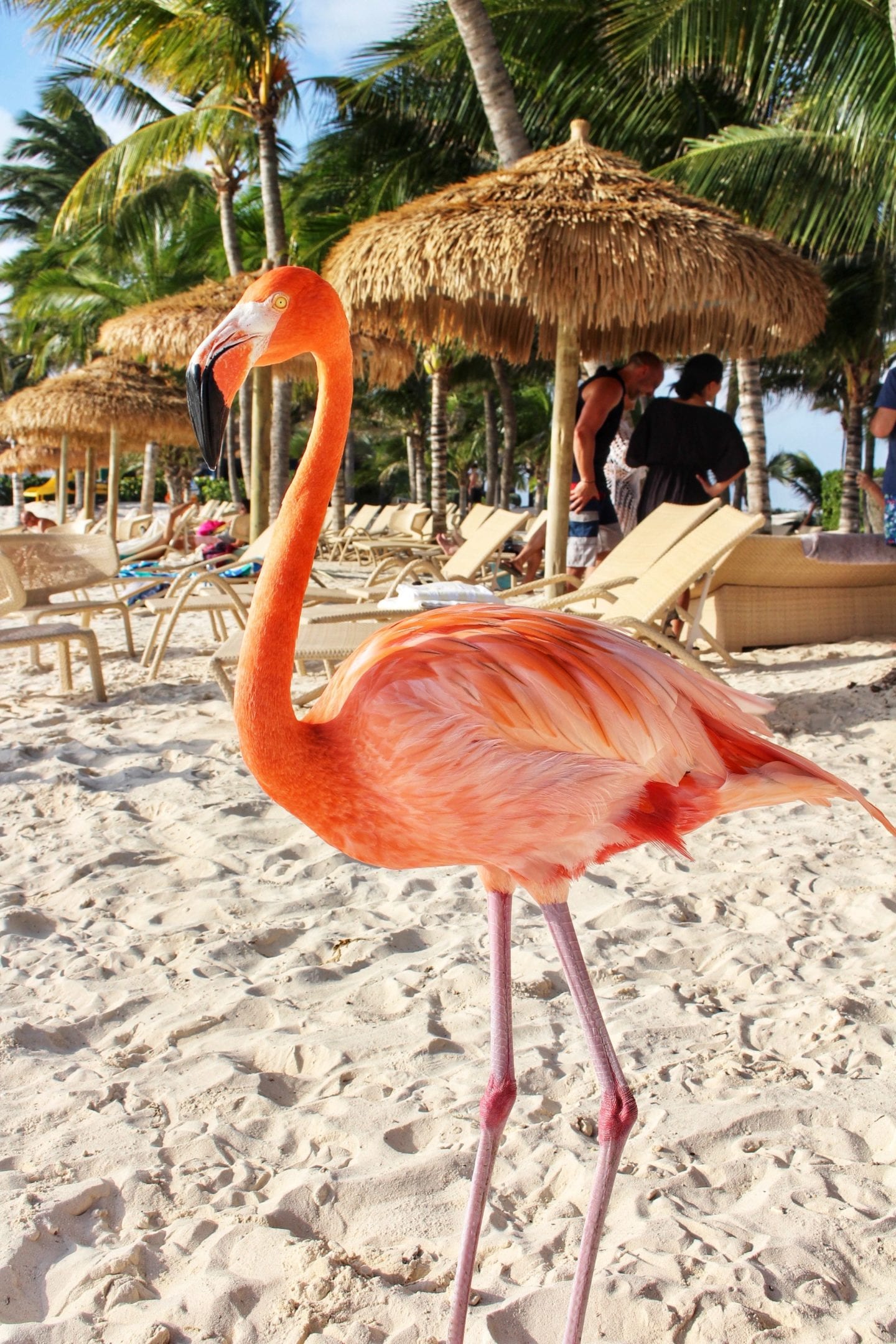 Oranjestad, Aruba | Travel Guide