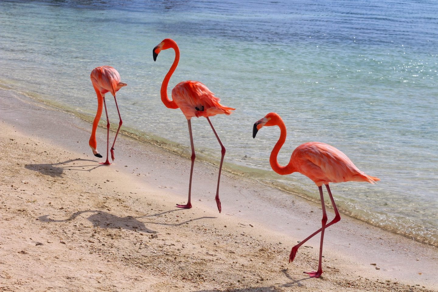 Oranjestad, Aruba | Travel Guide